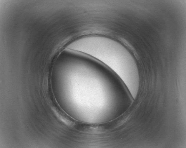X0000083020493200702020945