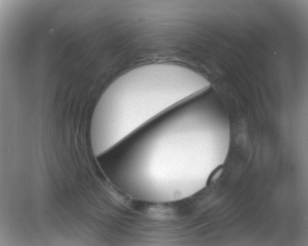 X0000083020515200702020945