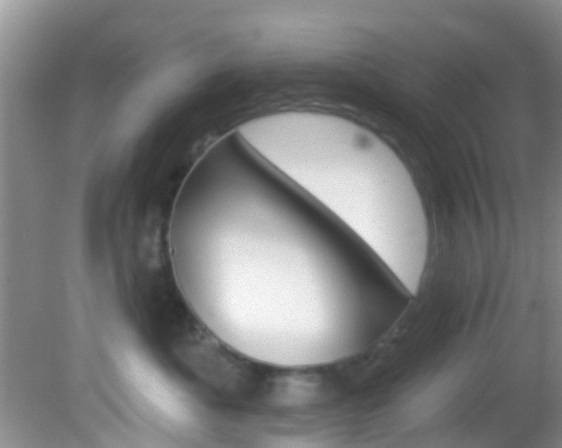X0000083020525200702020944
