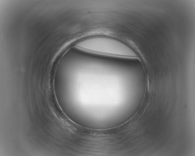 X0000083020531200702020944
