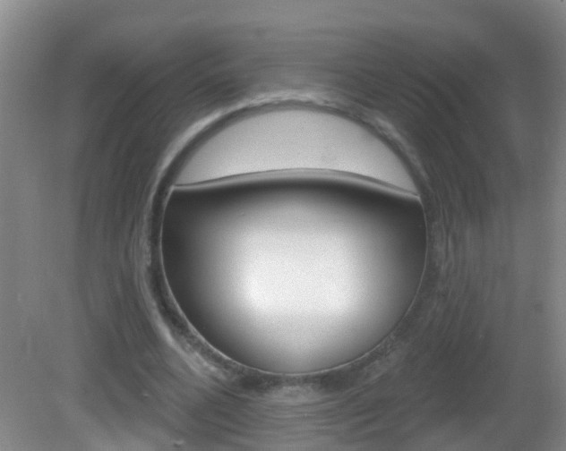 X0000083020536200702020944