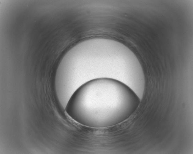 X0000083020546200702020944