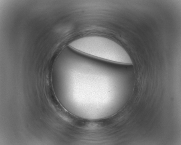 X0000083020547200702020944
