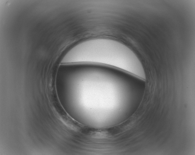 X0000083020548200702020944
