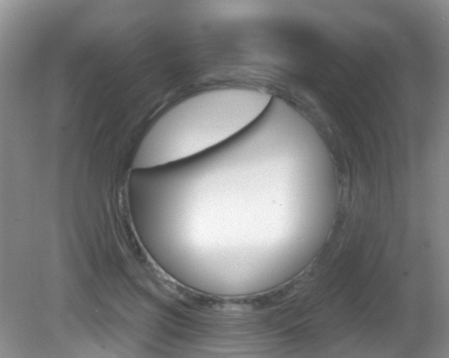 X0000083020549200702020944