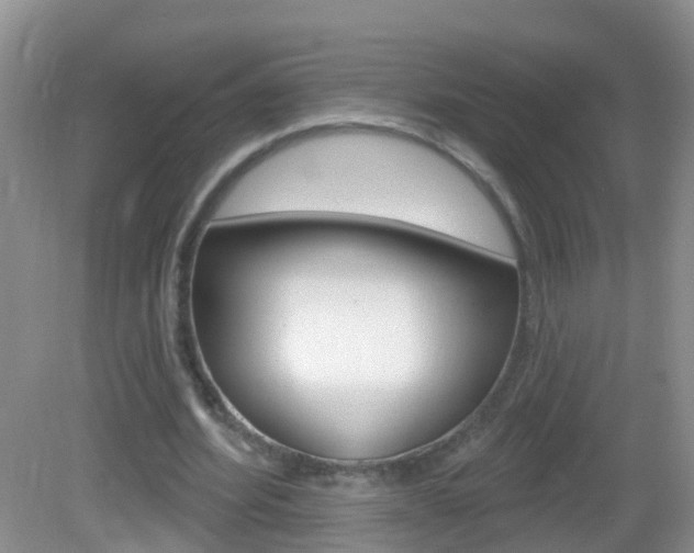 X0000083020580200702020943
