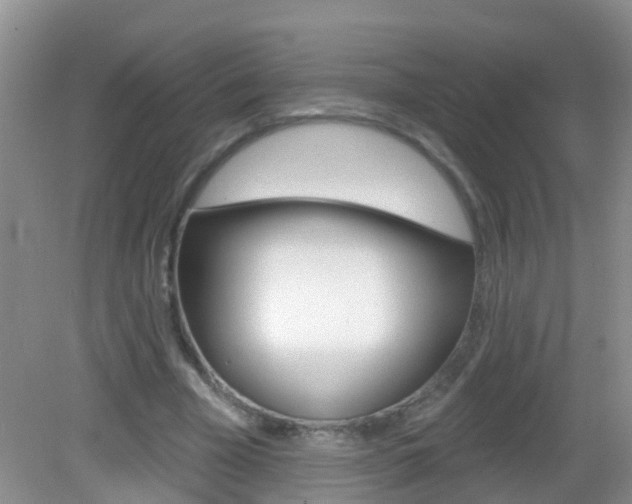 X0000083020585200702020943