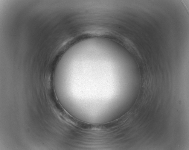 X0000083020596200702020943