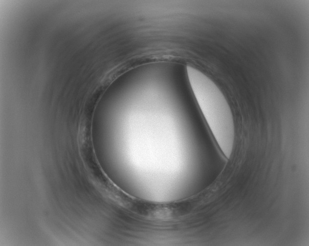 X0000083020600200702020943