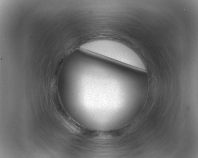 X0000083020601200702020943