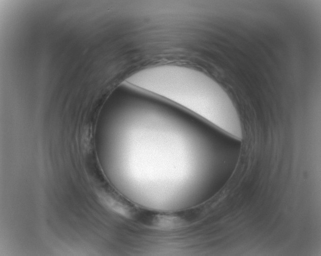 X0000083020605200702020943
