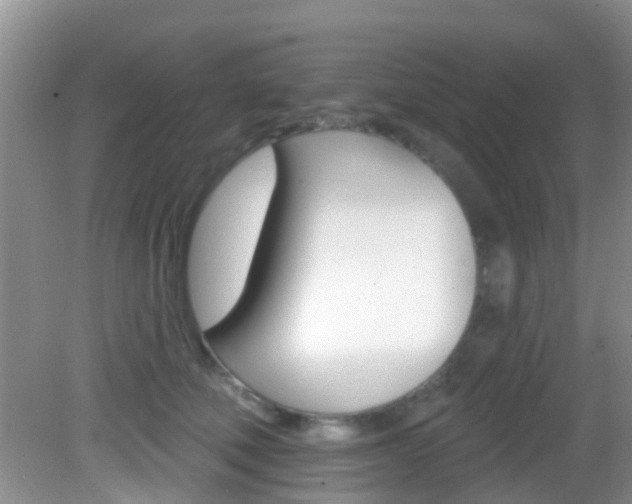 X0000083020610200702020943