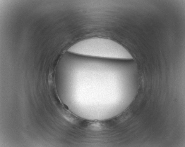 X0000083020611200702020943