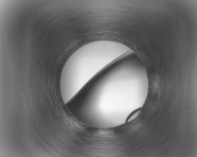 X0000083020619200702020943