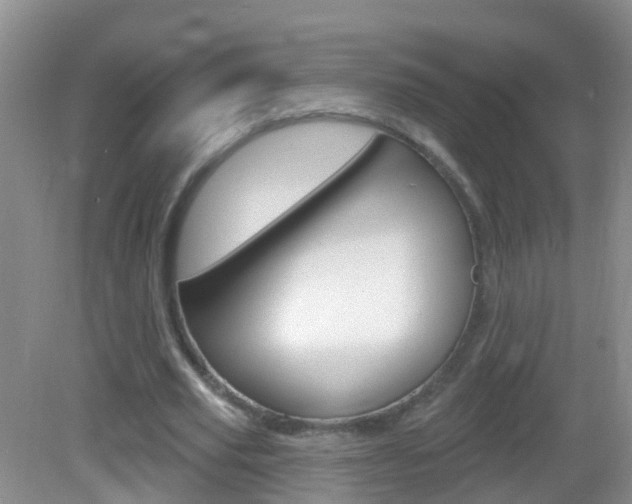 X0000083020629200702020942