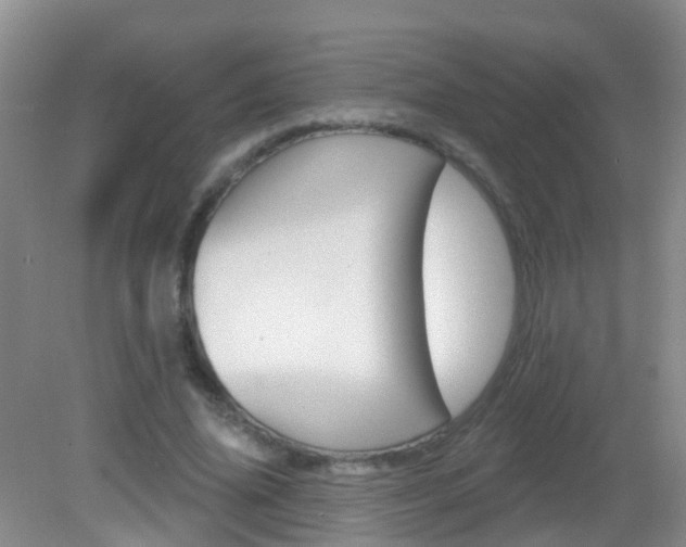 X0000083020636200702020942