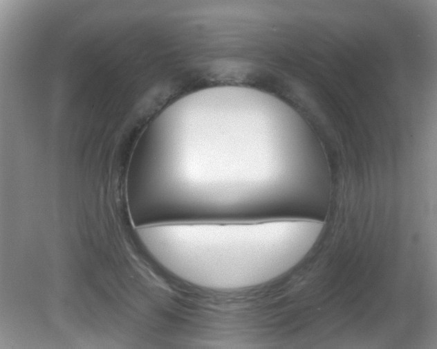 X0000083020641200702020942