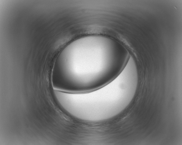 X0000083020681200702020942