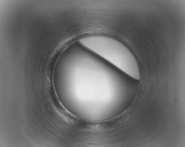 X0000083020688200702020942