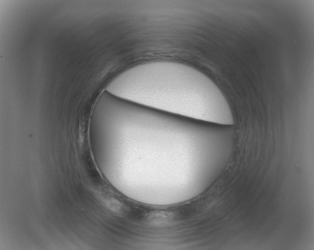 X0000083020691200702020942