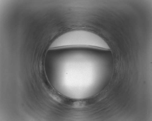 X0000083020700200702020941