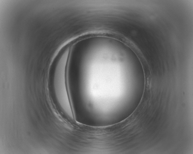 X0000083020724200702020940