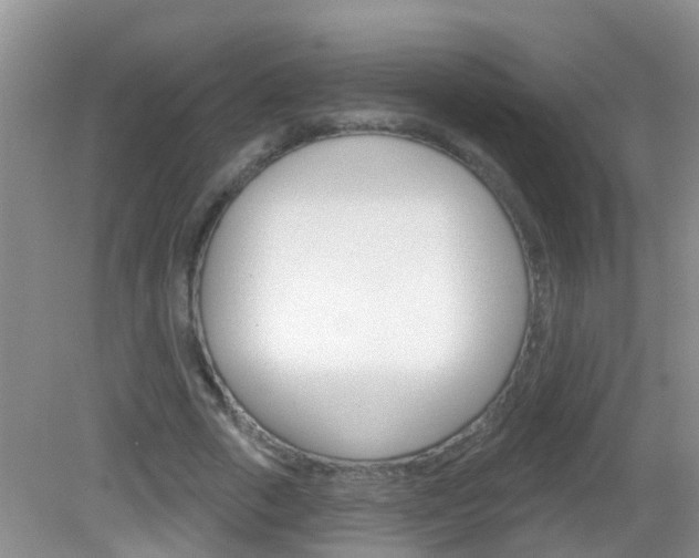 X0000083020729200702020940