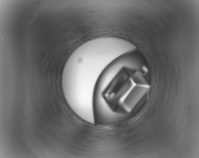 X0000083020768200702020941