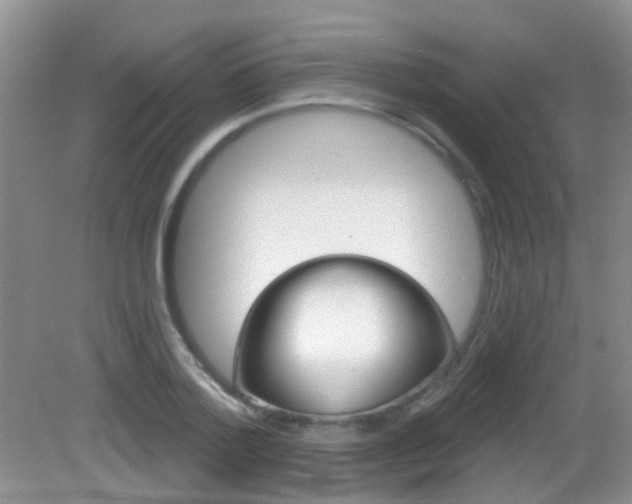 X0000083020788200702020940