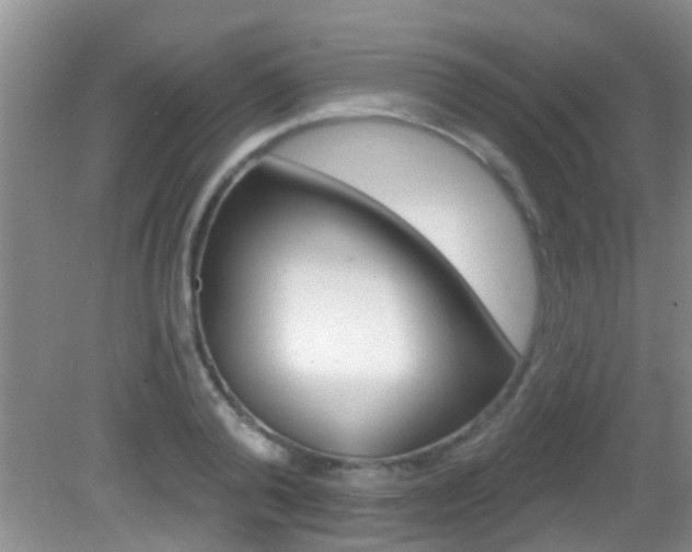X0000083020792200702020940
