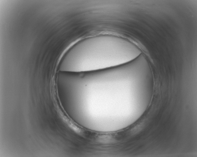 X0000083020798200702020940