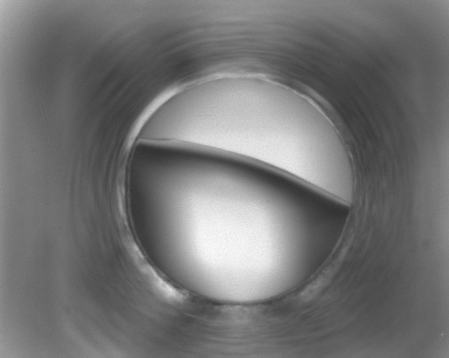 X0000083020812200702020940