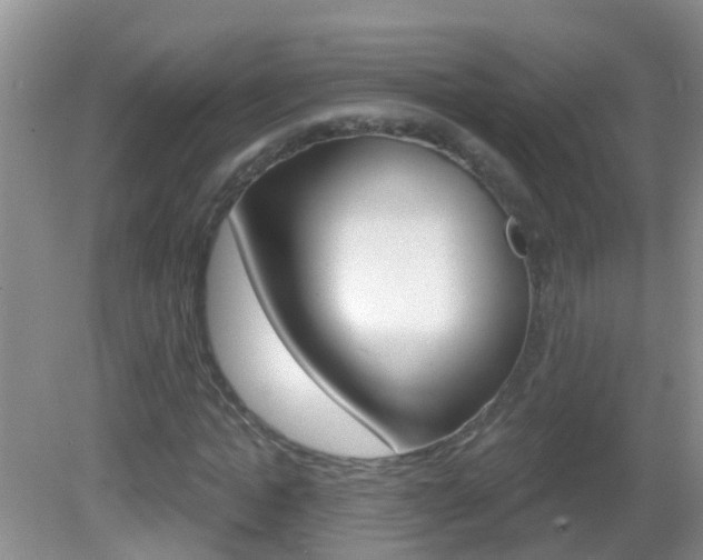 X0000083020822200702020939