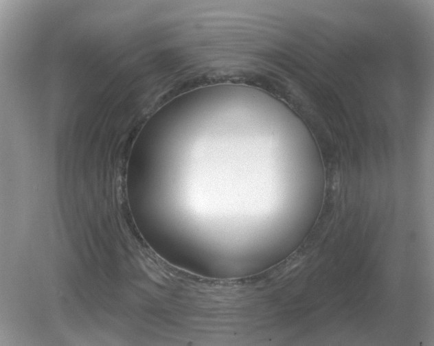X0000083020868200702020939