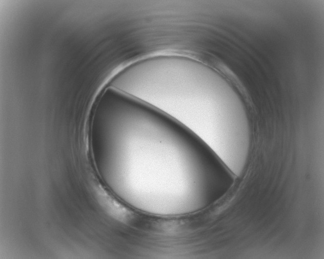X0000083020892200702020938
