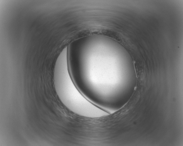 X0000083020916200702020937