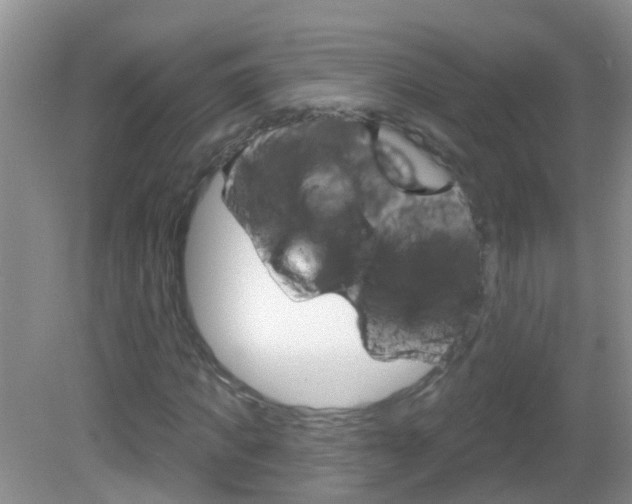 X0000083020917200702020937