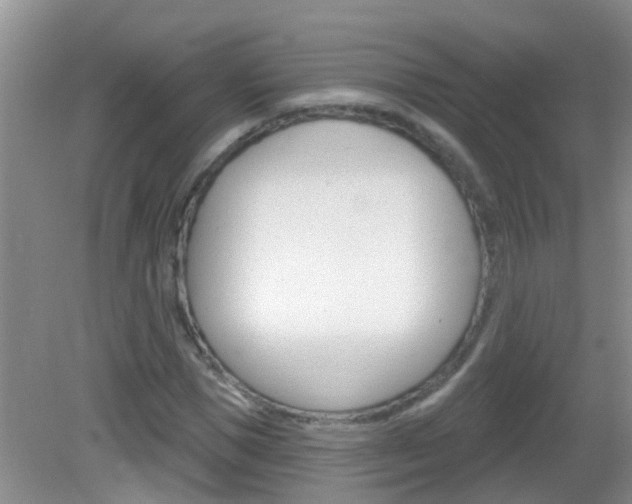 X0000083020921200702020937