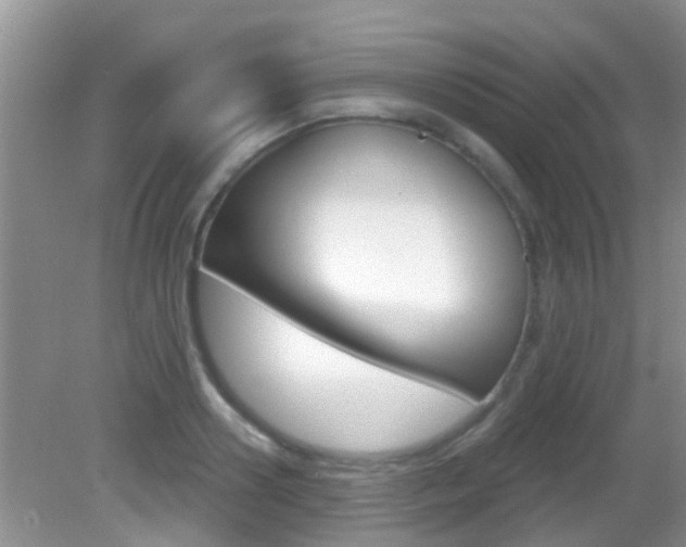 X0000083020938200702020937
