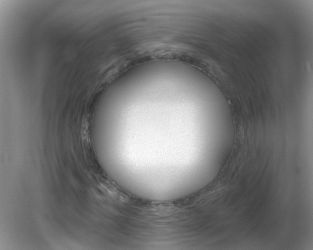X0000083020964200702020937
