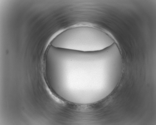 X0000083021003200702020936
