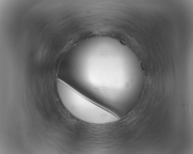 X0000083021012200702020935