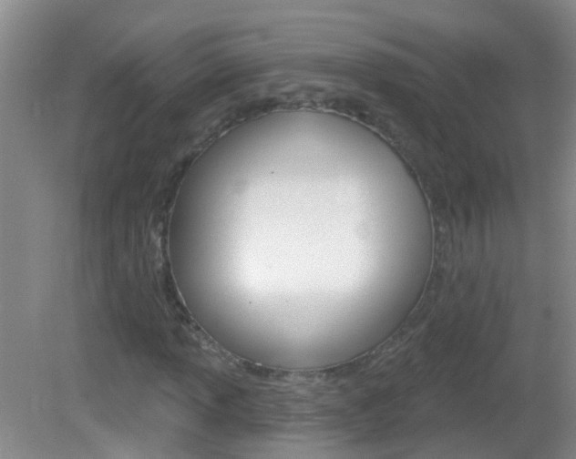 X0000083021013200702020936