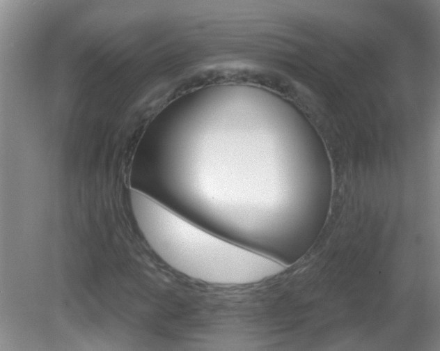X0000083021014200702020936