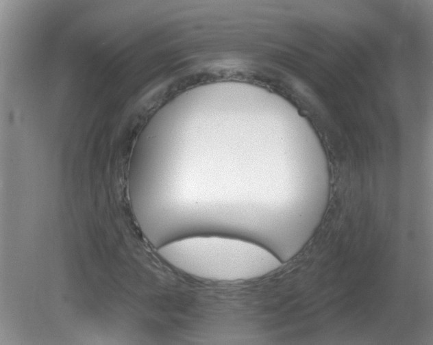 X0000083021015200702020936