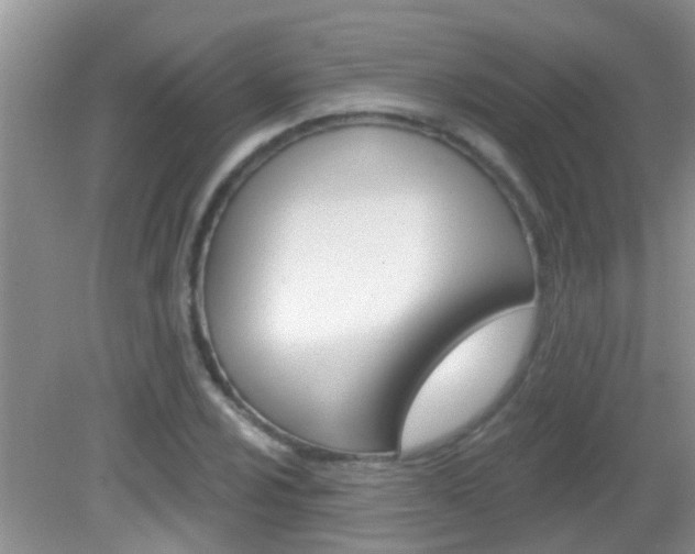 X0000083021024200702020936