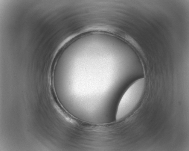 X0000083021028200702020936