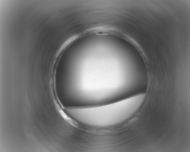 X0000083021042200702020936