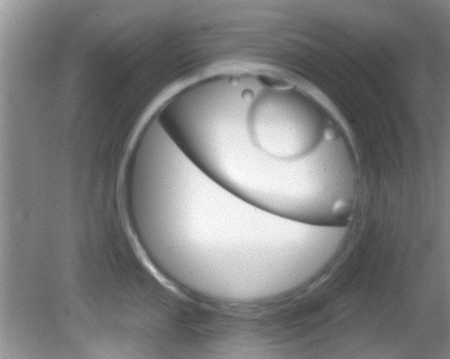 X0000083021053200702020936