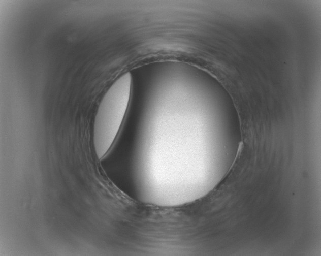 X0000083021061200702020935